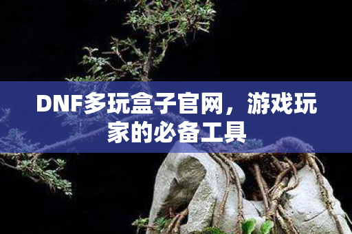 DNF多玩盒子官网图片