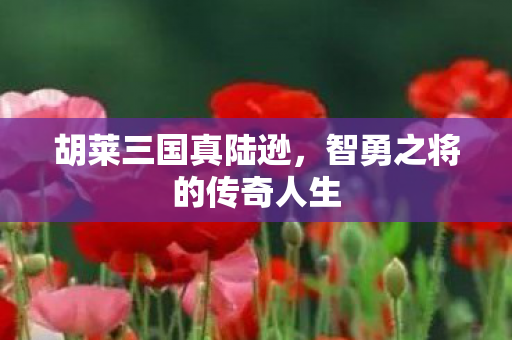 智勇之将的传奇人生图片