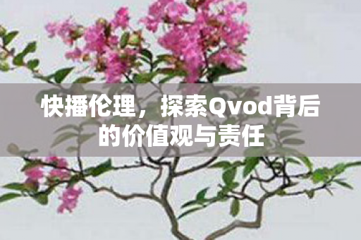 探索Qvod背后的价值观与责任图片