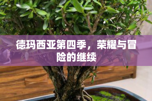 荣耀与冒险的继续图片