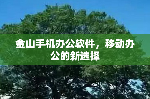 金山手机办公软件图片