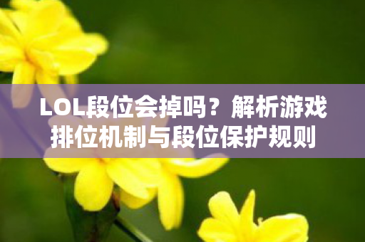 解析游戏排位机制与段位保护规则图片