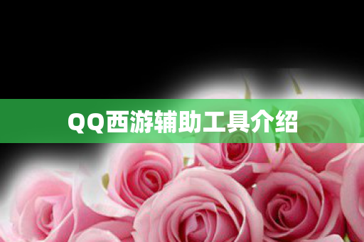 QQ西游辅助工具介绍图片