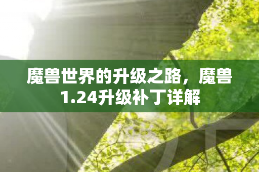 魔兽世界的升级之路图片