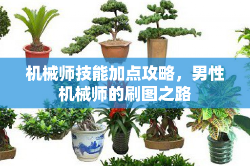 男性机械师的刷图之路图片