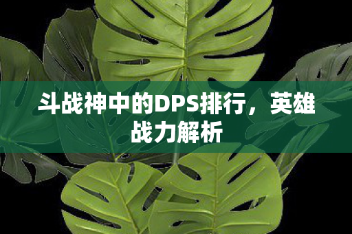 斗战神中的DPS排行图片