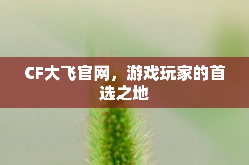 游戏玩家的首选之地图片