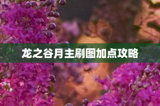 龙之谷月主刷图加点攻略图片