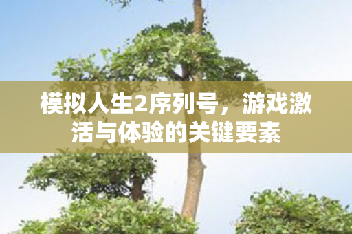 游戏激活与体验的关键要素图片