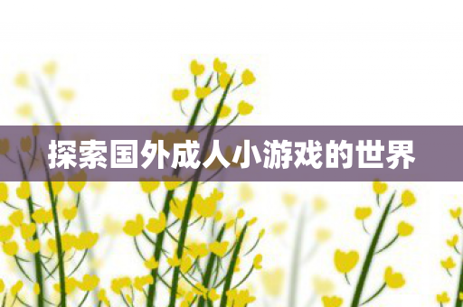 探索国外成人小游戏的世界图片
