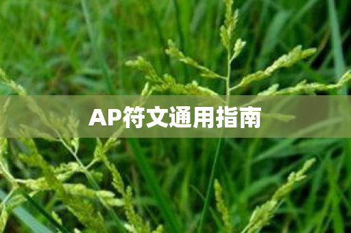 AP符文通用指南图片