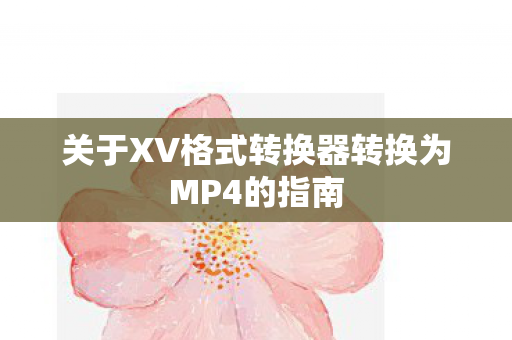 关于XV格式转换器转换为MP4的指南图片
