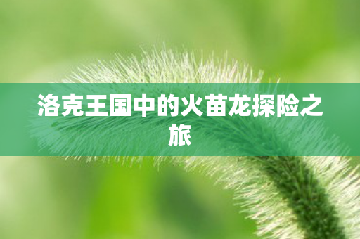 洛克王国中的火苗龙探险之旅图片
