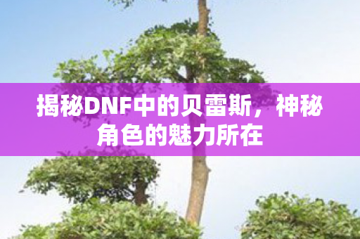 揭秘DNF中的贝雷斯图片