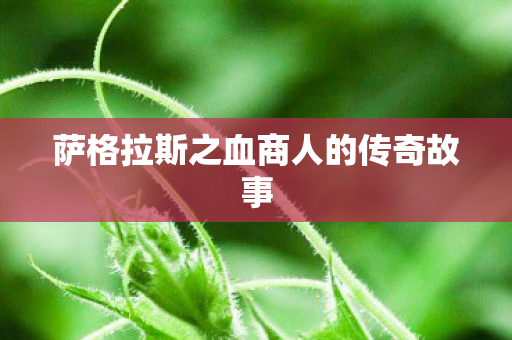 萨格拉斯之血商人的传奇故事图片
