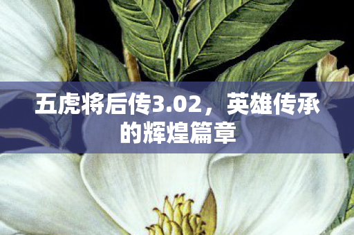 英雄传承的辉煌篇章图片