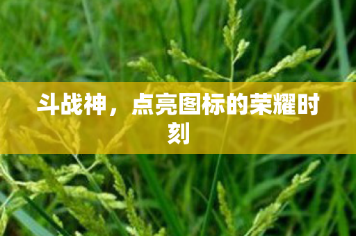 点亮图标的荣耀时刻图片