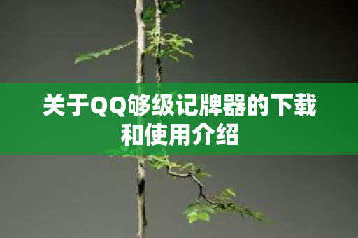 关于QQ够级记牌器的下载和使用介绍图片