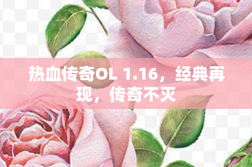 热血传奇OL 1图片