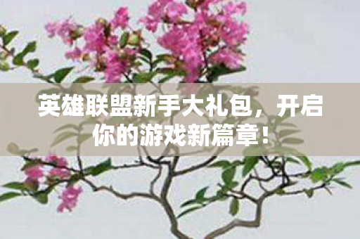 英雄联盟新手大礼包图片