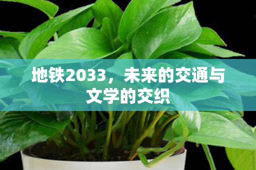 未来的交通与文学的交织图片