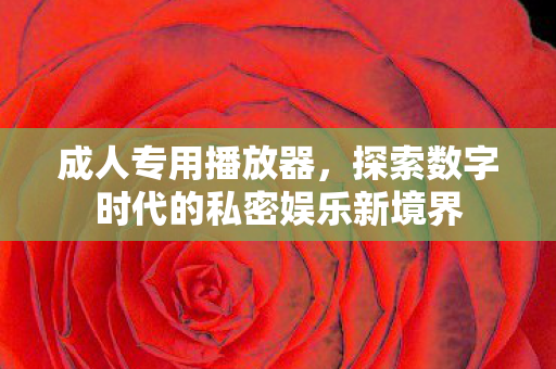 探索数字时代的私密娱乐新境界图片