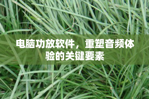 重塑音频体验的关键要素图片