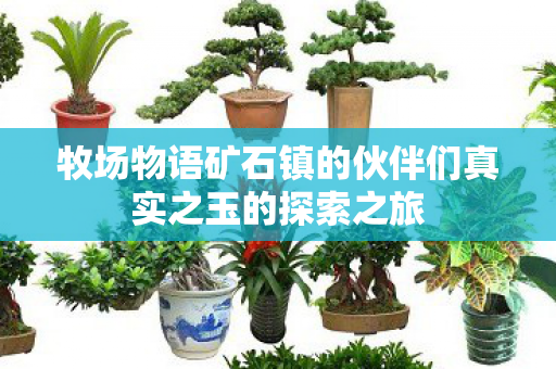 牧场物语矿石镇的伙伴们真实之玉的探索之旅图片