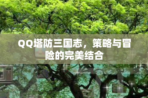 策略与冒险的完美结合图片