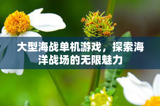 探索海洋战场的无限魅力图片