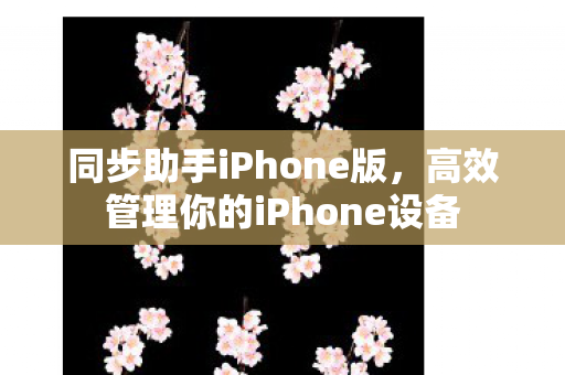 高效管理你的iPhone设备图片