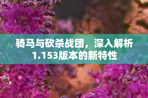 153版本的新特性图片