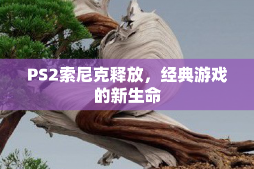 PS2索尼克释放图片