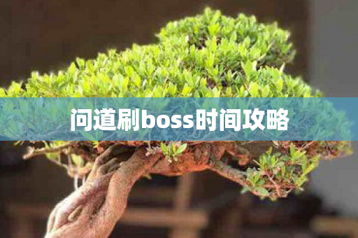 问道刷boss时间攻略图片