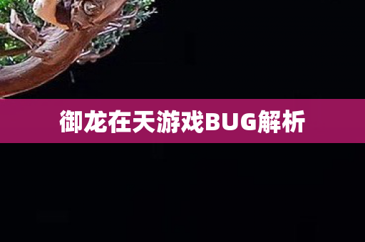 御龙在天游戏BUG解析图片