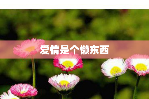 爱情是个懒东西图片
