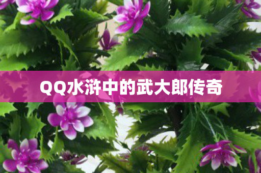 QQ水浒中的武大郎传奇图片