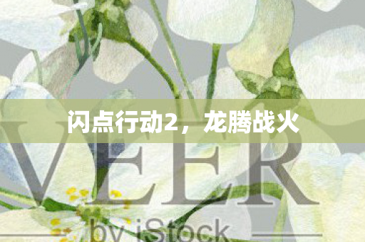 闪点行动2图片