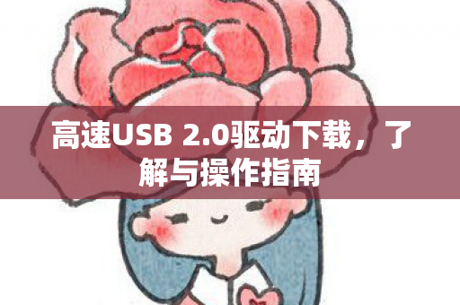 高速USB 2图片
