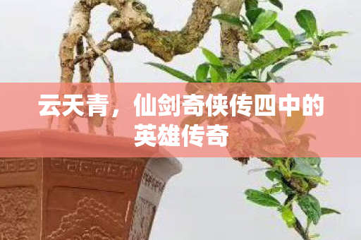 仙剑奇侠传四中的英雄传奇图片