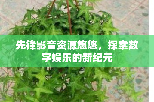 探索数字娱乐的新纪元图片