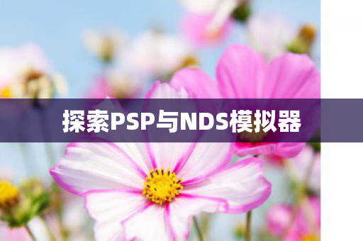 探索PSP与NDS模拟器图片