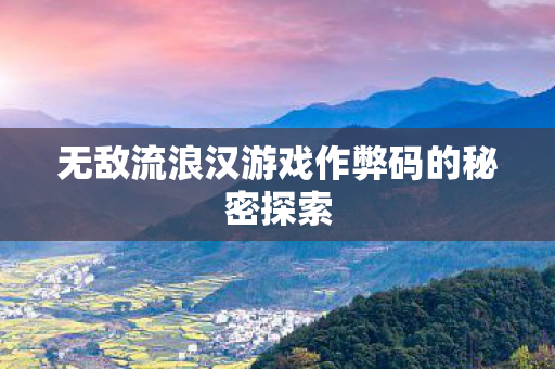 无敌流浪汉游戏作弊码的秘密探索图片