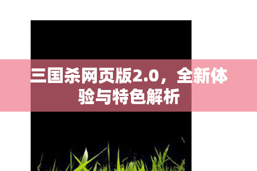 全新体验与特色解析图片