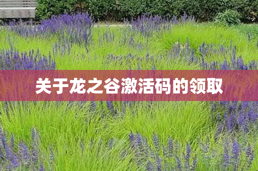 关于龙之谷激活码的领取图片