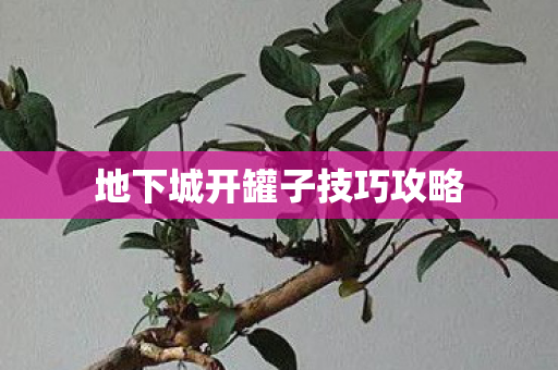 地下城开罐子技巧攻略图片