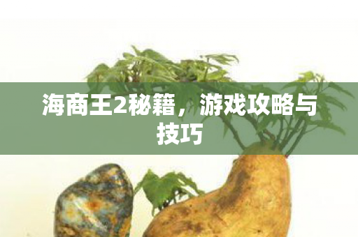游戏攻略与技巧图片