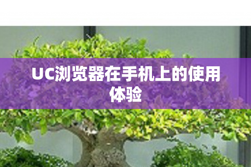 UC浏览器在手机上的使用体验图片