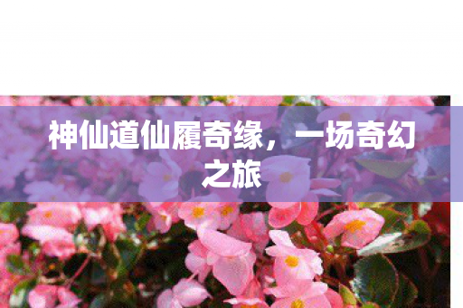神仙道仙履奇缘图片