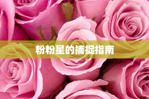 粉粉星的捕捉指南图片